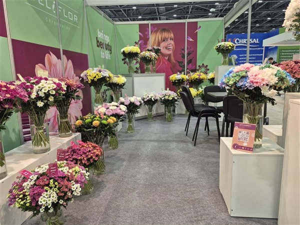 Stravina dé highlight op Flora Expo in Astana