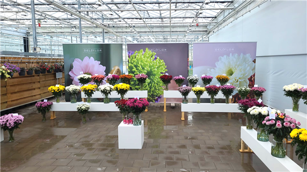 Handelsdagen Deliflor