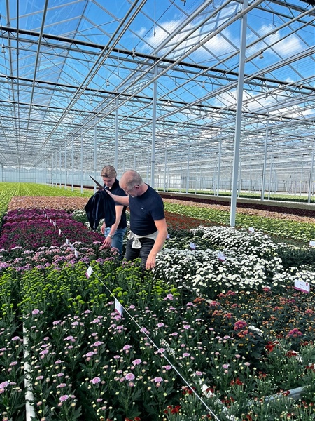 Succesfull Santini Flower Trial at Hendriks Baarlo