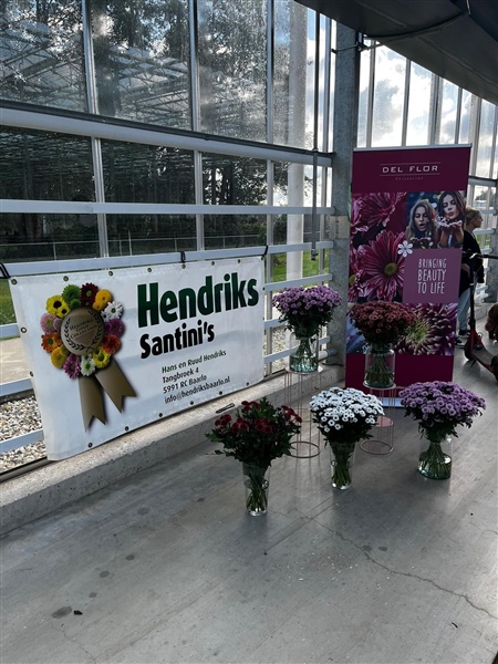 Succesfull Santini Flower Trial at Hendriks Baarlo