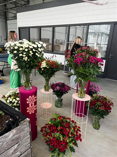 Succesfull Santini Flower Trial at Hendriks Baarlo