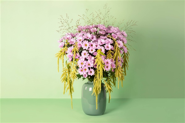 Meet our newest addition: spray chrysanthemum Precious!