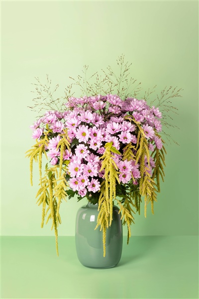 Meet our newest addition: spray chrysanthemum Precious!