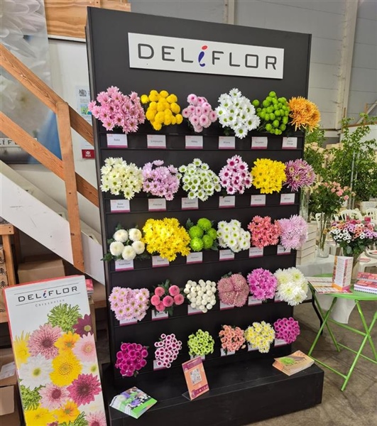 Inspiring show at Southeast Flowers in the United Kingdom