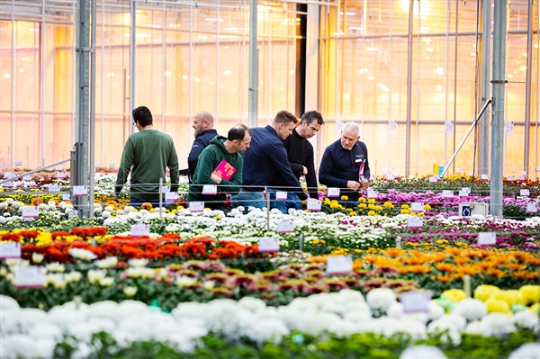 13,14 en 15 januari: Deli Flower Market
