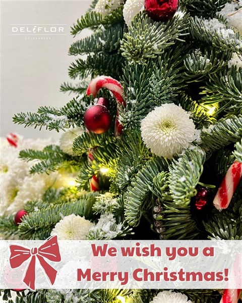 Merry Christmas and a colorful 2026!