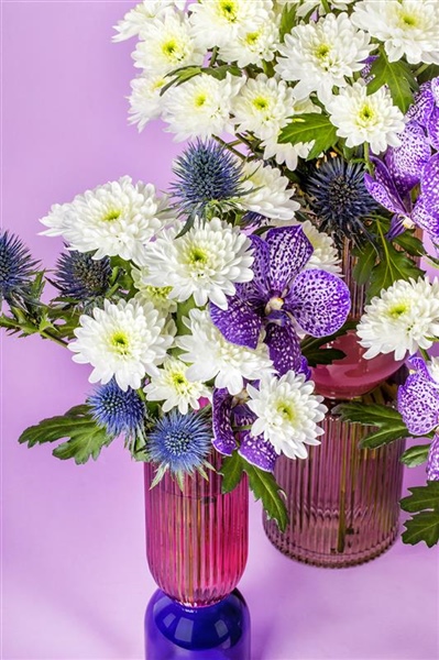 Discover Lumen, the new white spray chrysanthemum from G&G Flowers