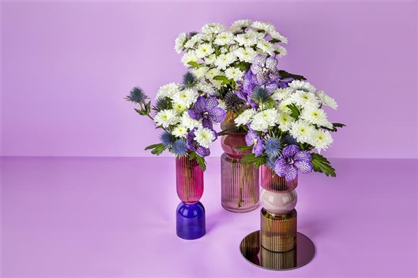 Discover Lumen, the new white spray chrysanthemum from G&G Flowers