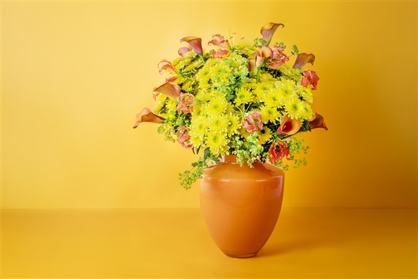 Commander Yellow: the new powerhouse from Deliflor