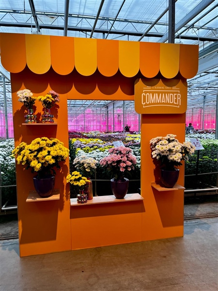 Great enthusiasm for the new format of the Deli Flower Market