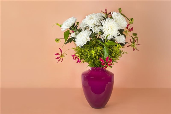 The classic beauty Stravina is coming!