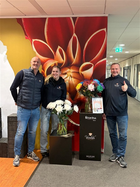 The classic beauty Stravina is coming!