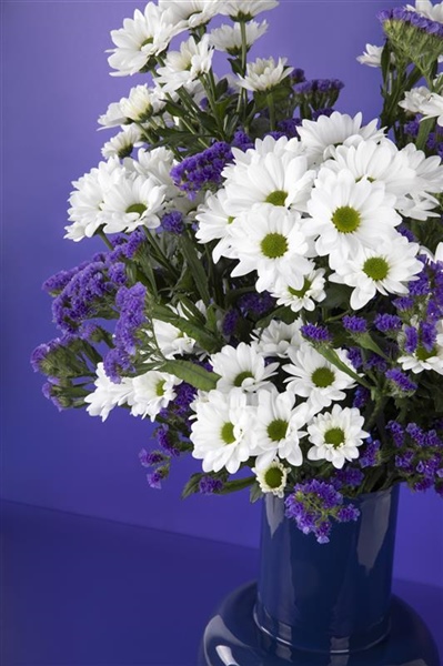 Stravina the highlight at Flora Expo in Astana