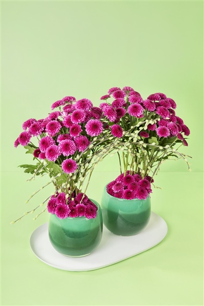 Pomavera, the energy of a new season