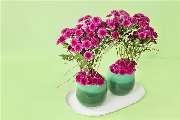 Pomavera, the energy of a new season