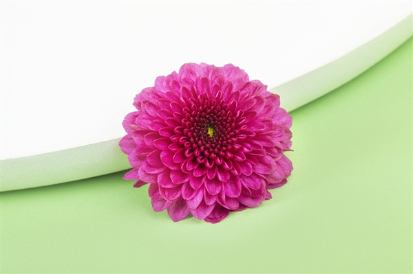 Pomavera, the energy of a new season