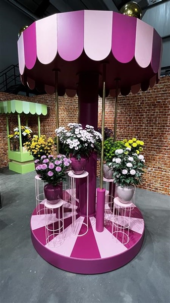 Successful Deli Flower Show highlights international chrysanthemum assortment